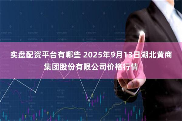 实盘配资平台有哪些 2025年9月13日湖北黄商集团股份有限公司价格行情