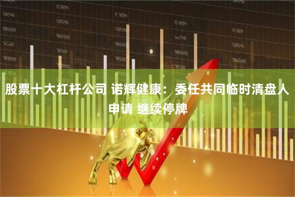 股票十大杠杆公司 诺辉健康：委任共同临时清盘人申请 继续停牌