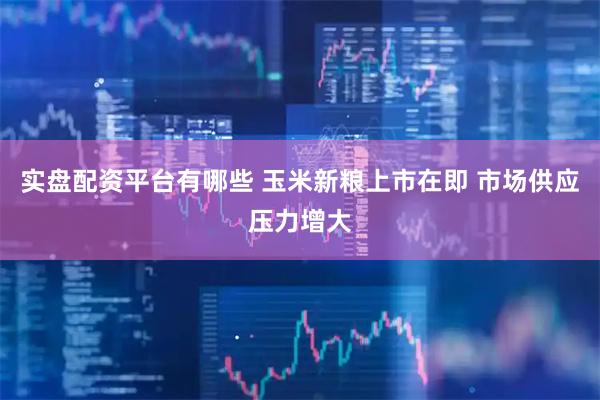 实盘配资平台有哪些 玉米新粮上市在即 市场供应压力增大