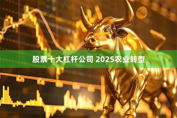 股票十大杠杆公司 2025农业转型